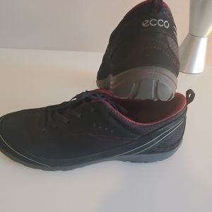 Ecco Soft EUC